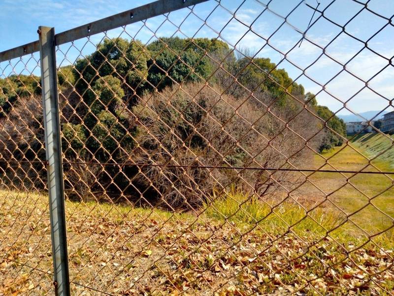 仲津山古墳  (仲津姫命 仲津山陵),大阪府藤井寺市 沢田４丁目