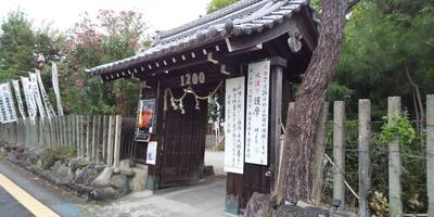 愛宕山 上福院 龍泉寺,見どころ,くりちゃん