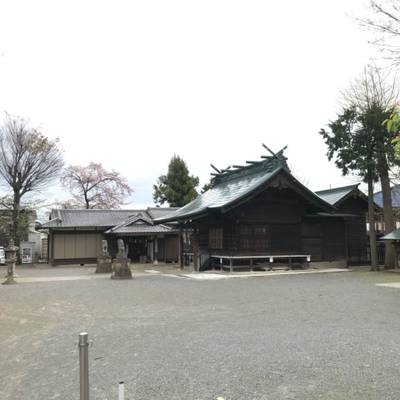 金山神社,見どころ,Mya