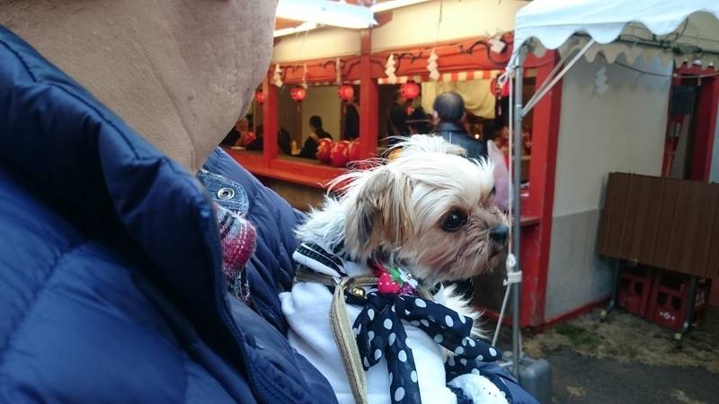 妙法寺 (富士毘沙門天) 富士市/静岡県 Omairi(おまいり)