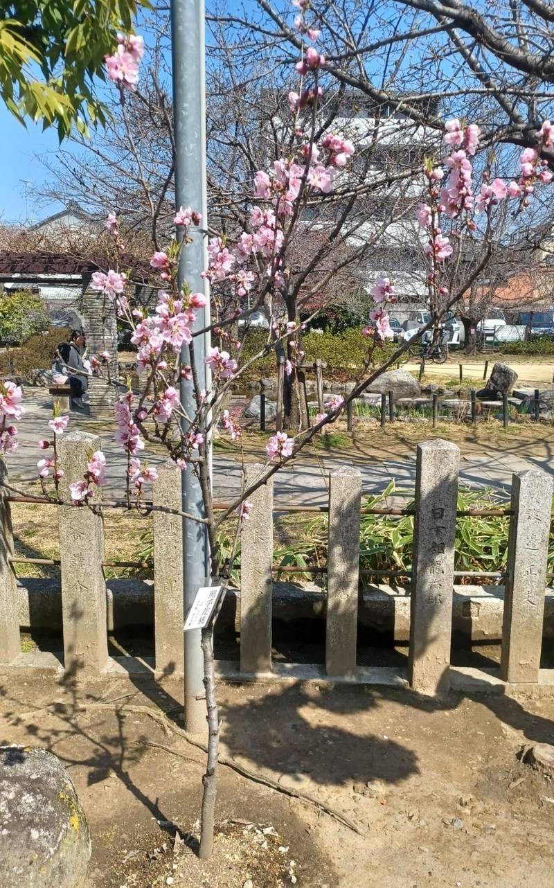 首途八幡宮,京都府京都市上京区桜井町102-1