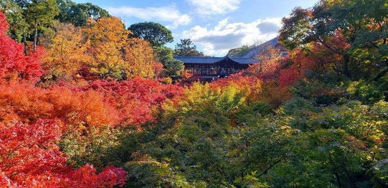 東福寺 御朱印 京都市 京都府 Omairi おまいり