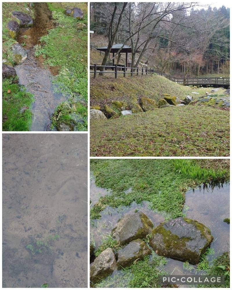 水上惣水神,山口県山口市阿東賀年上