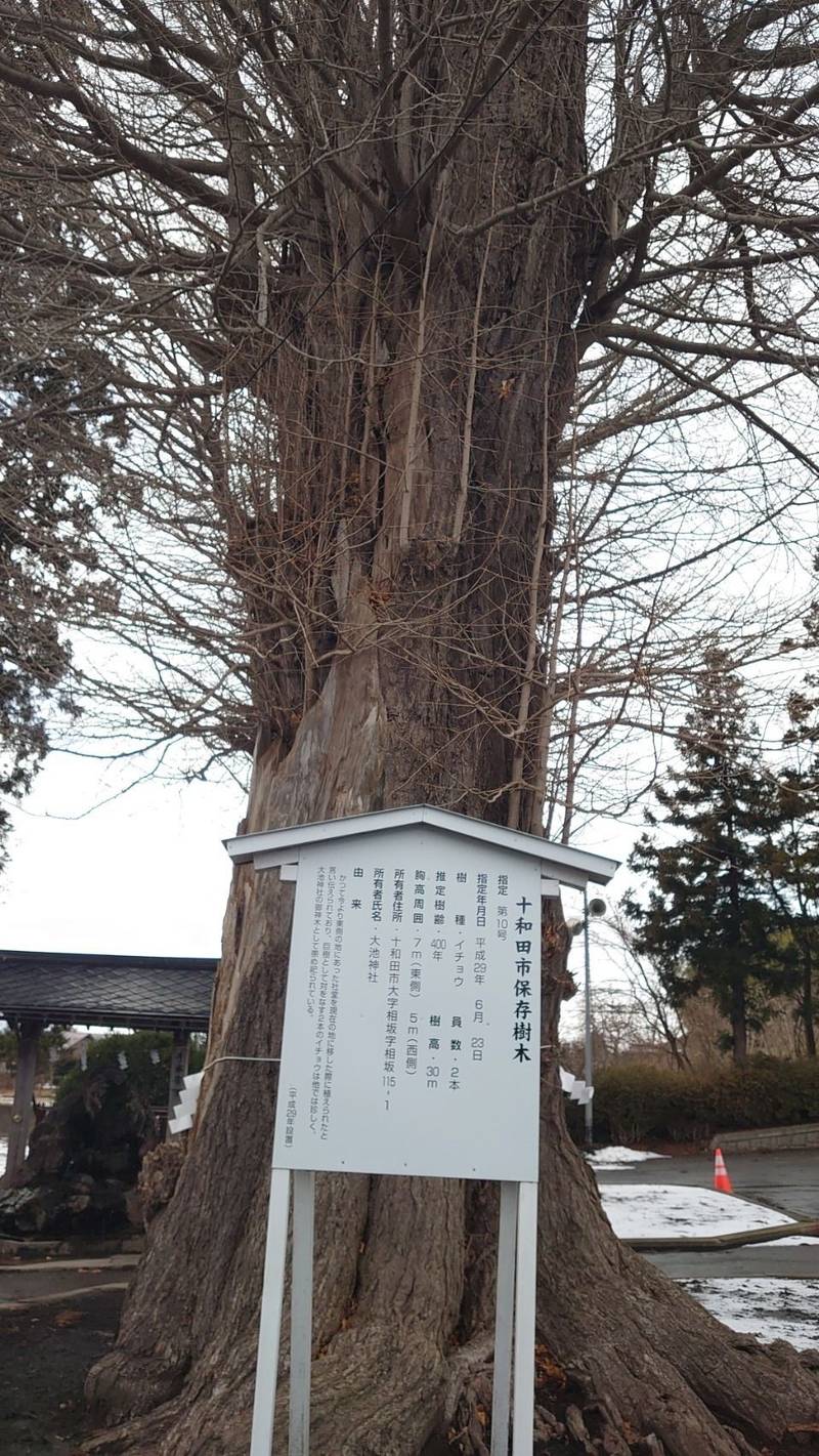 大池神社,青森県十和田市相坂115-1
