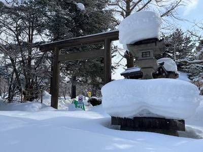 山鼻神社,見どころ,ひまわり