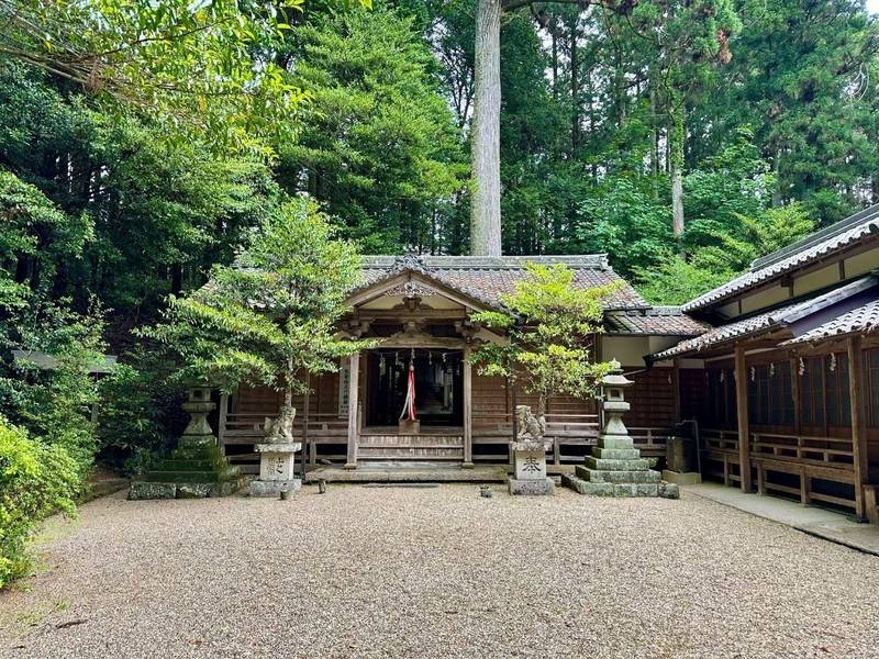 國津神社  (都祁甲岡町),奈良県奈良市都祁甲岡町３５２