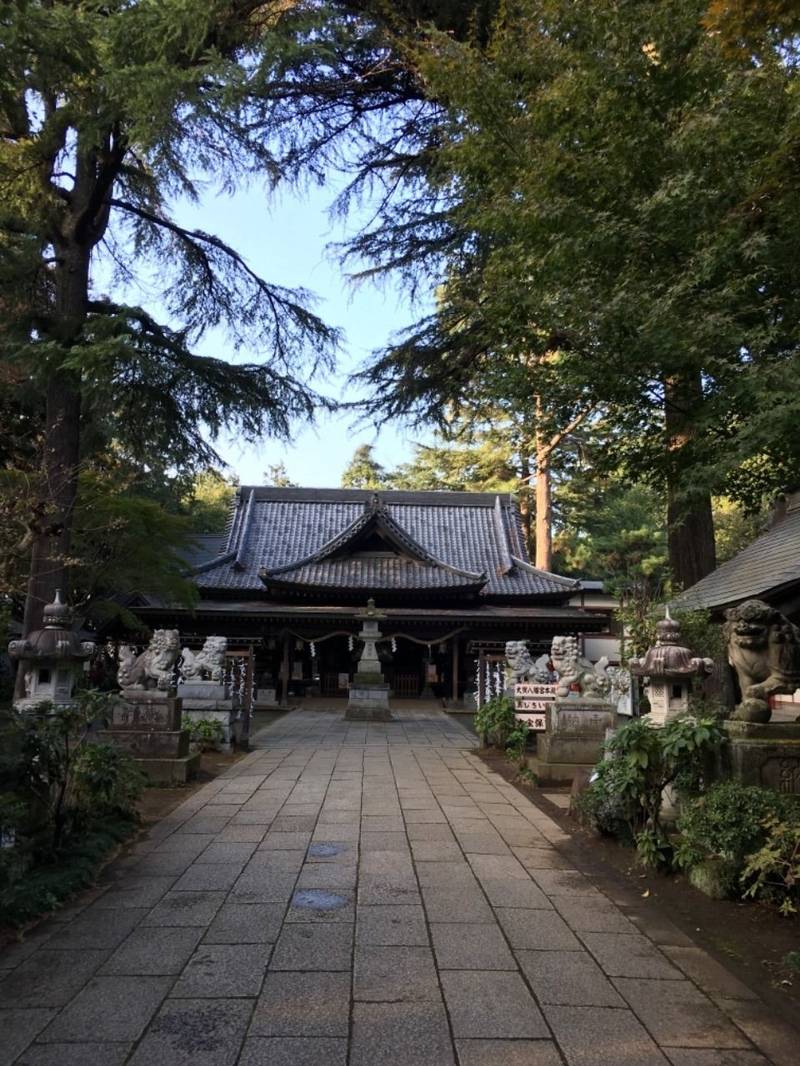 大宝 八幡宮