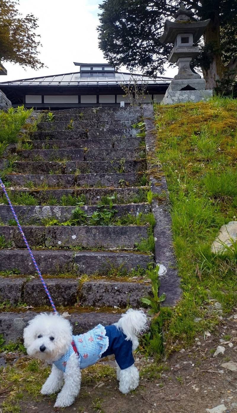 薬師堂   (あやめ地蔵),長野県下高井郡山ノ内町佐野