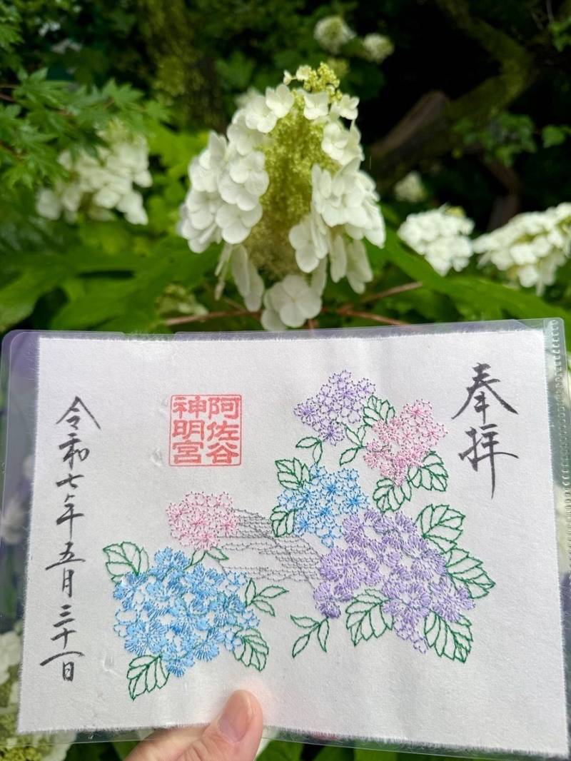 阿佐ヶ谷神明宮,東京都杉並区阿佐谷北1丁目25-5