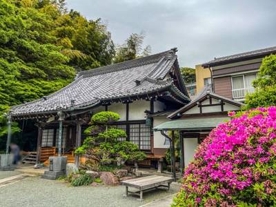 持明院,見どころ,ほし