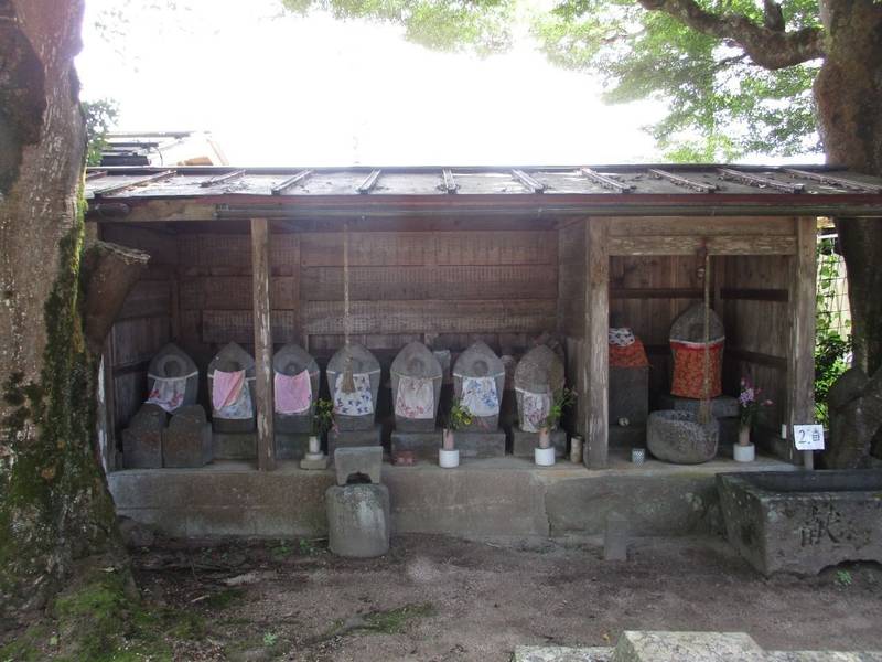 放光院   (夜久野茶堂),兵庫県朝来市山東町金浦６３０