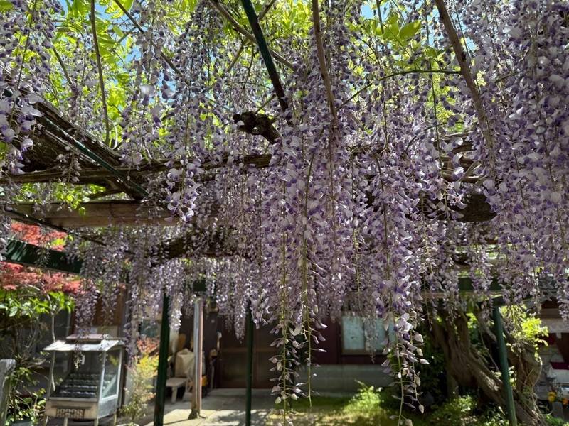 玉泉寺,香川県さぬき市造田宮西1022番地2