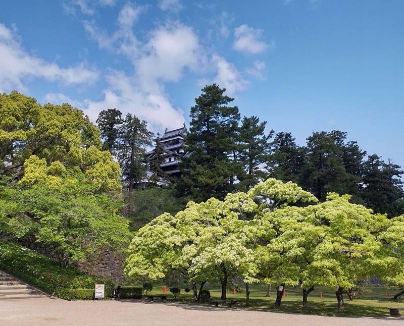 松江城,島根県松江市殿町