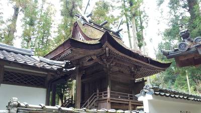 大歳神社,見どころ,TOKKY1747