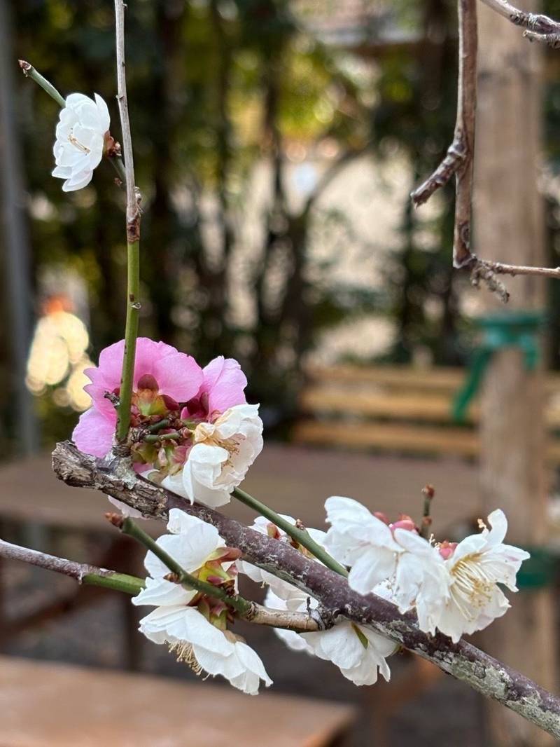 熊野若王子神社,京都府京都市左京区若王子町２