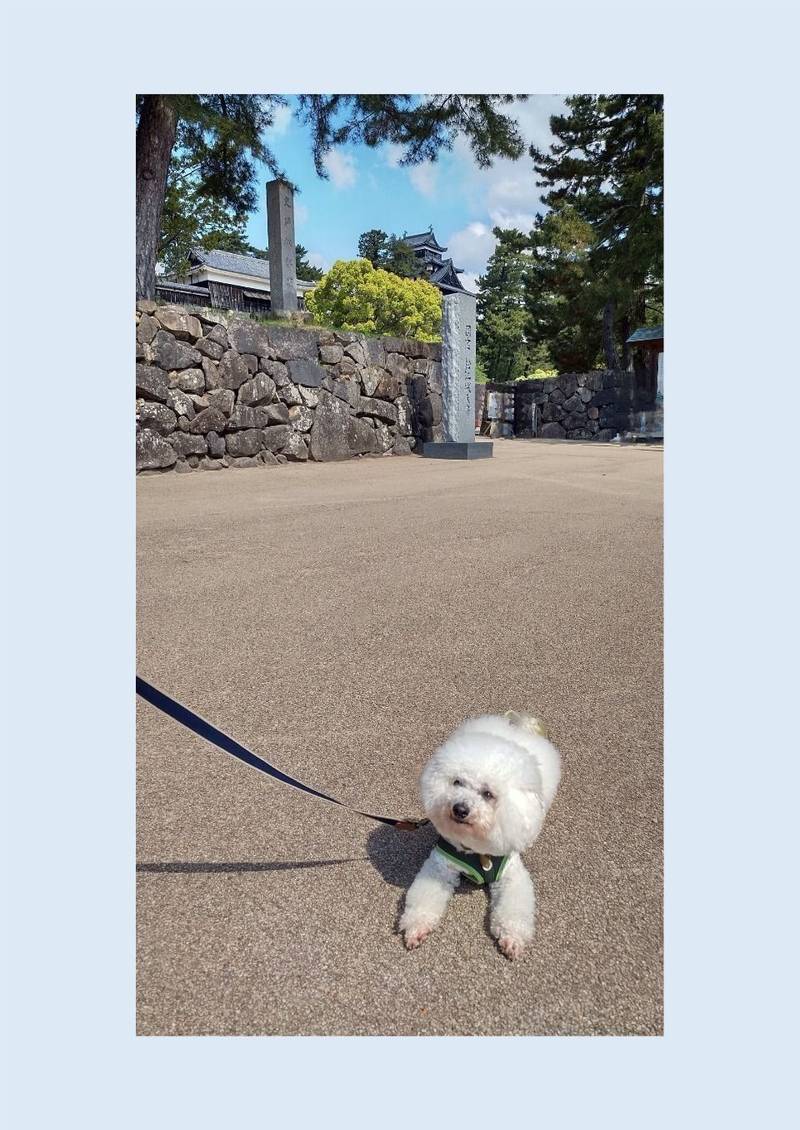 松江城,島根県松江市殿町