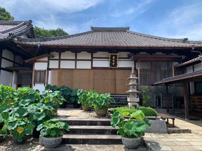 海岸寺,見どころ,漢愛堂