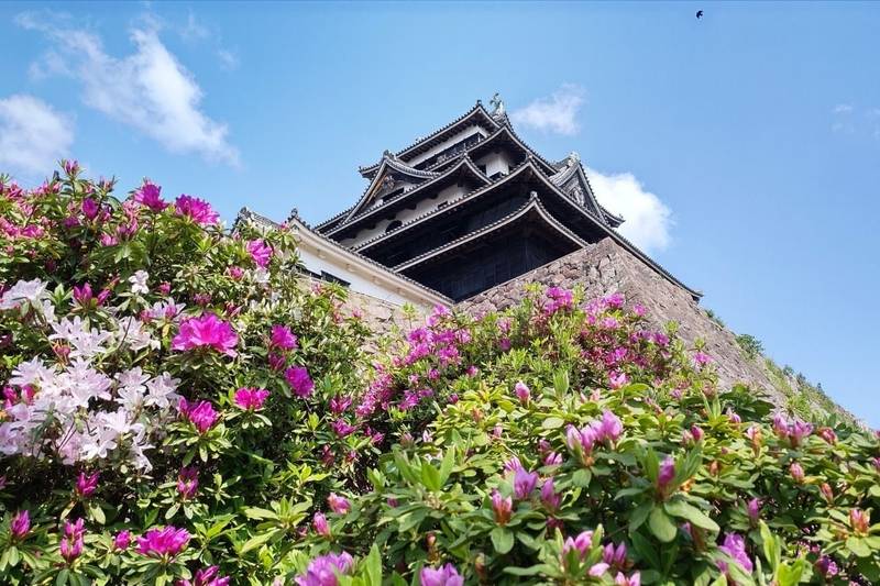 松江城,島根県松江市殿町