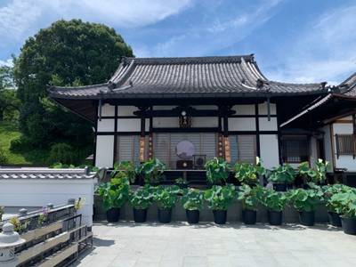 海岸寺,見どころ,漢愛堂