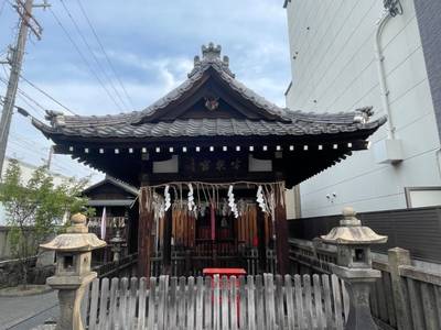 島原住吉神社,見どころ,tackto