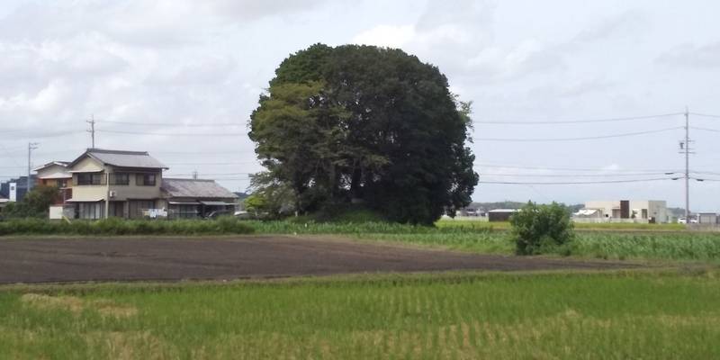 茶臼塚古墳稲荷神社    (仮称),三重県度会郡玉城町中楽