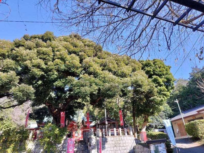 東峯八幡大神,神奈川県横浜市戸塚区吉田町1263