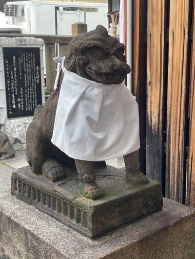島原住吉神社,見どころ,tackto