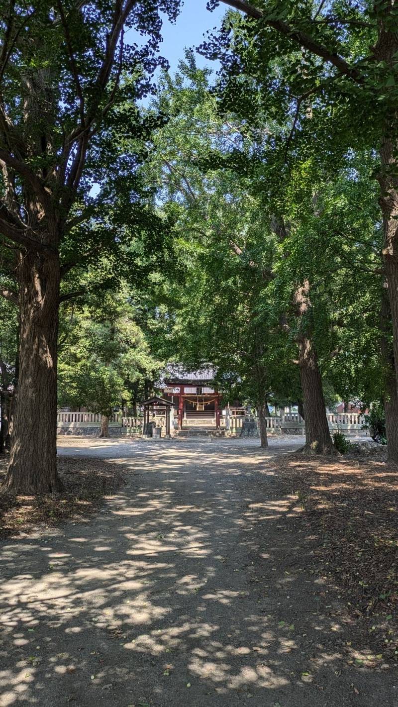今城青坂稲実池上神社  (上里町忍保),埼玉県児玉郡上里町忍保1115
