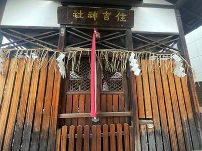 島原住吉神社,見どころ,tackto