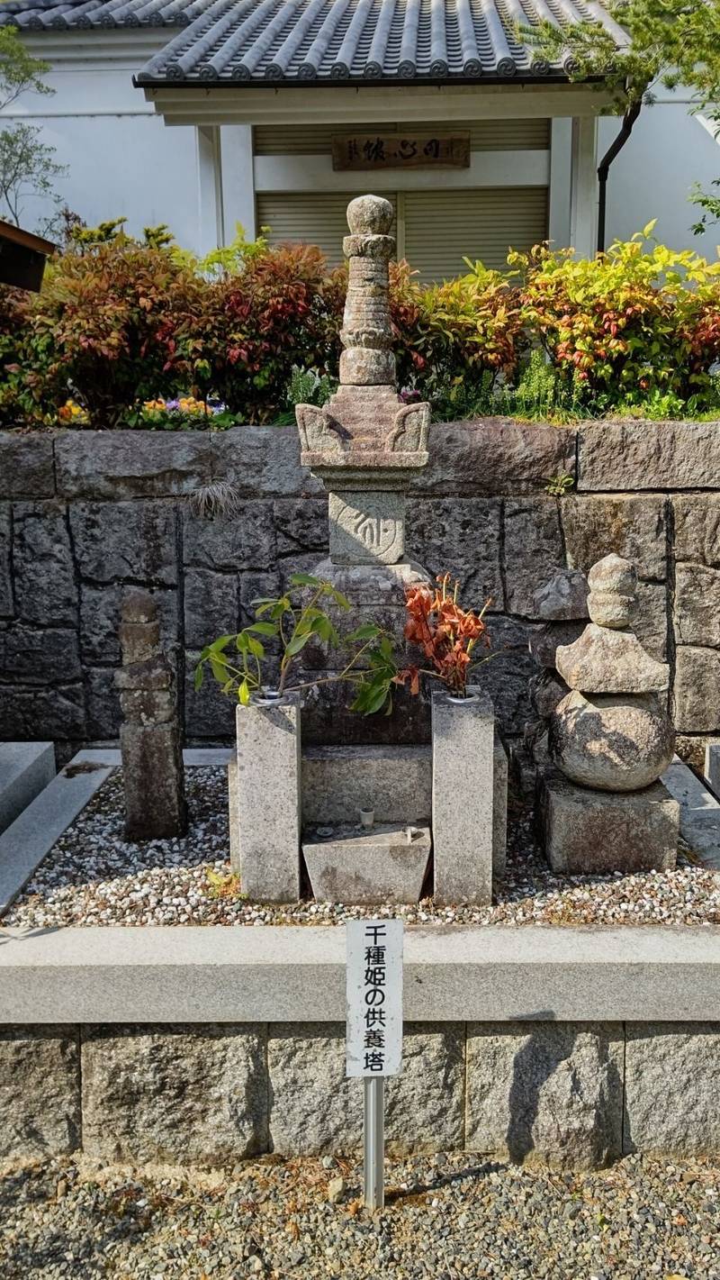 宝林寺,兵庫県赤穂郡上郡町河野原279