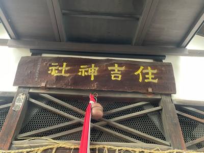 島原住吉神社,見どころ,tackto