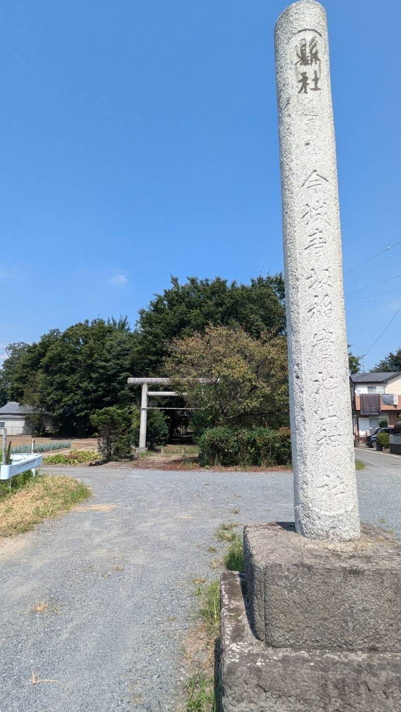 今城青坂稲実池上神社  (上里町忍保),埼玉県児玉郡上里町忍保1115