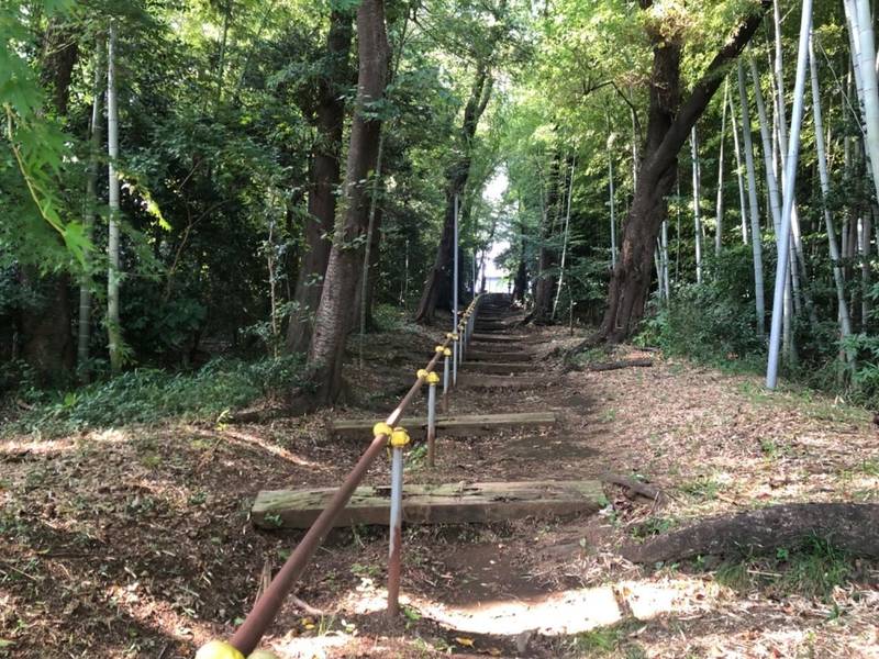 牛頭天皇宮       (天王社),神奈川県横浜市緑区長津田町4124-16
