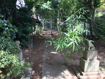 迎米妙見神社,見どころ,