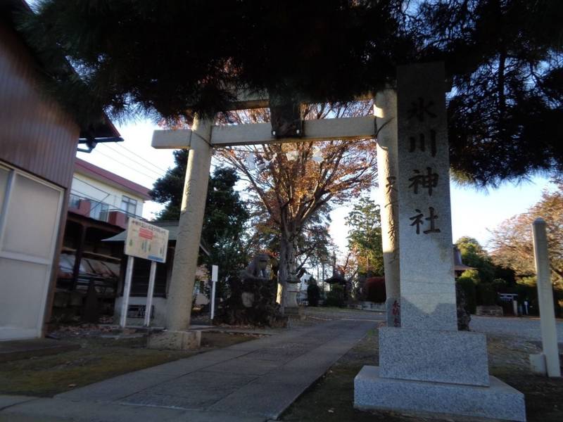浜崎氷川神社,埼玉県朝霞市浜崎3-7-1