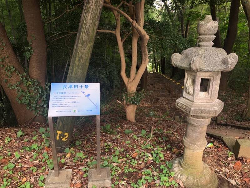 牛頭天皇宮       (天王社),神奈川県横浜市緑区長津田町4124-16