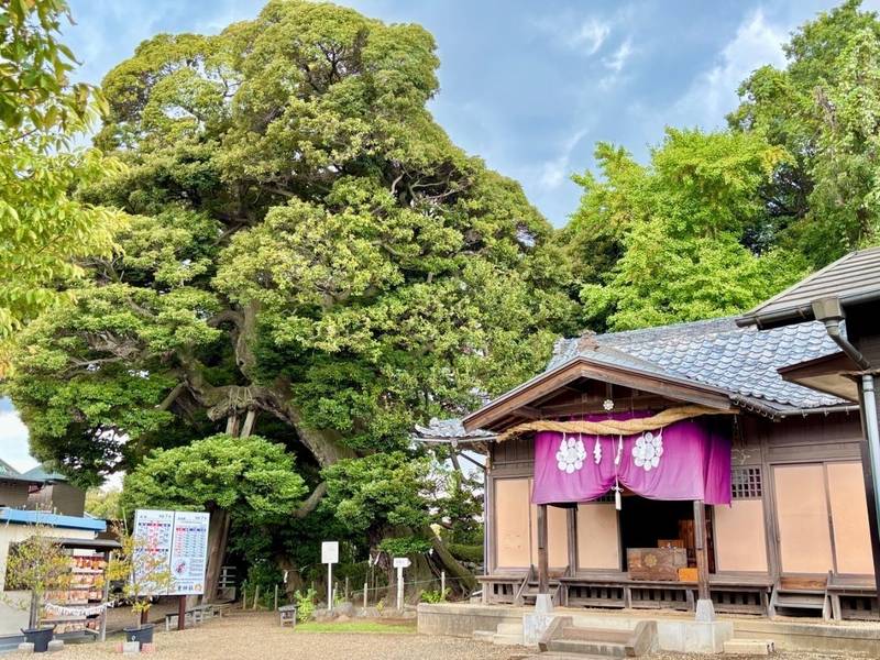 九重神社,埼玉県川口市安行原2042