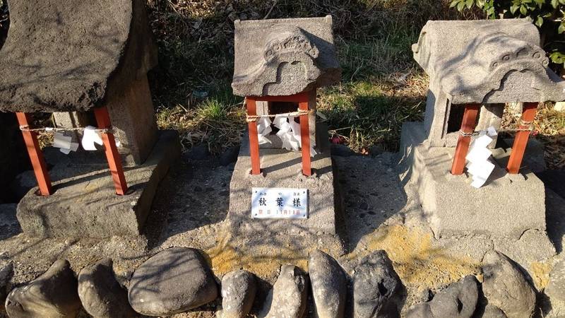 赤城神社 (綿貫),群馬県高崎市綿貫町１４７８