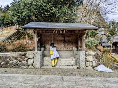 春日神社,見どころ,平沢凛