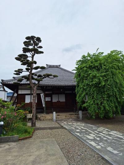 正興寺,見どころ,とるど