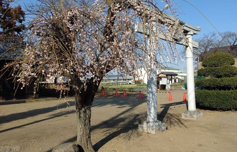 赤城神社 (綿貫),群馬県高崎市綿貫町１４７８
