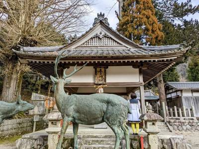 春日神社,見どころ,平沢凛