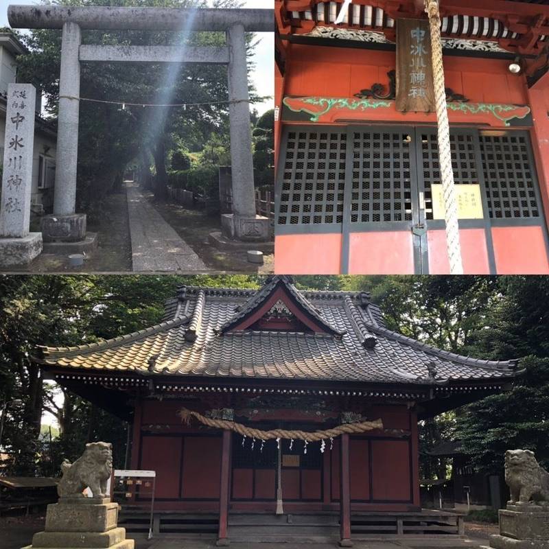 中氷川神社 所沢市 埼玉県 Omairi おまいり