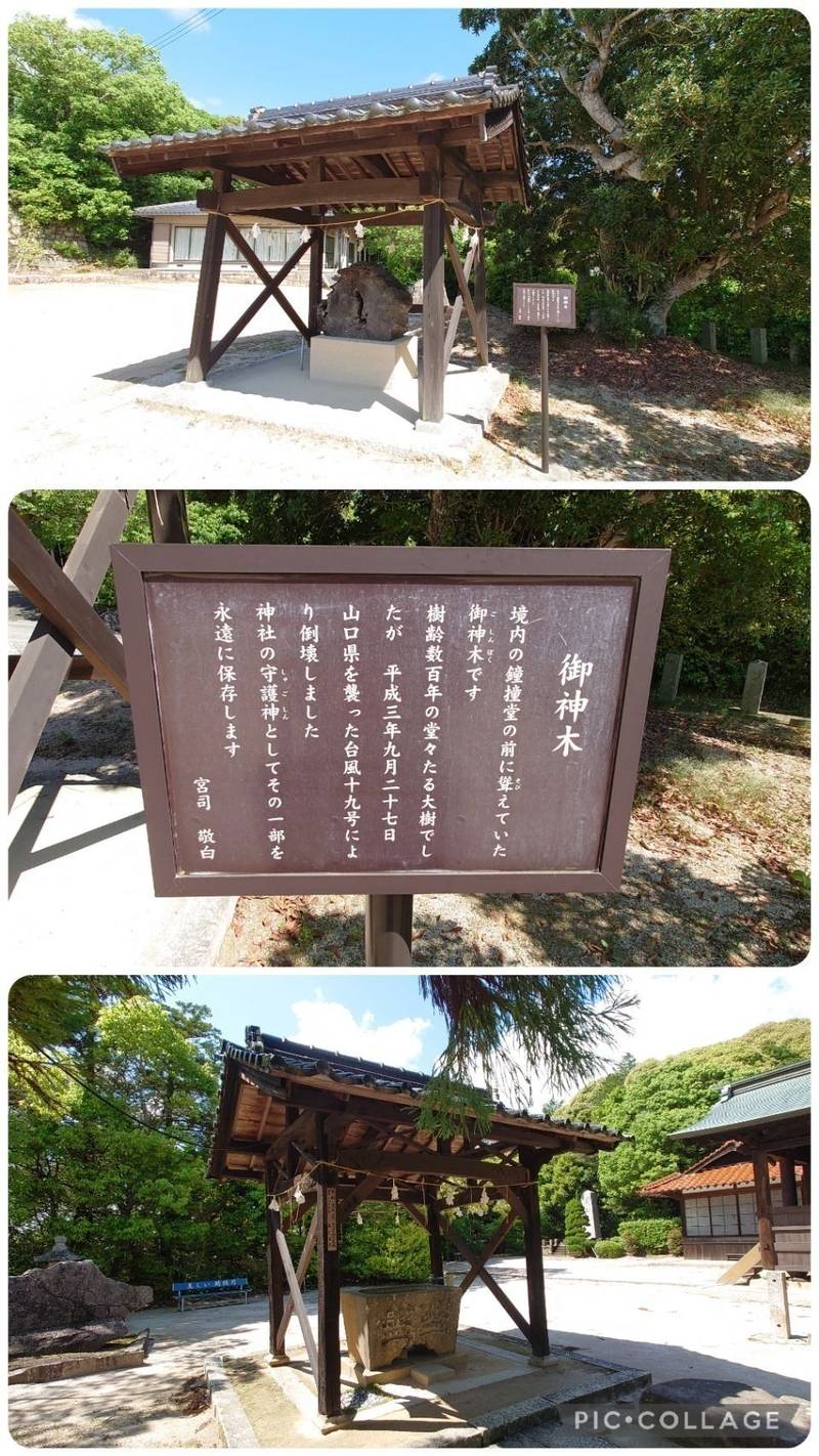 黒山八幡宮,山口県山口市鋳銭司4009番地