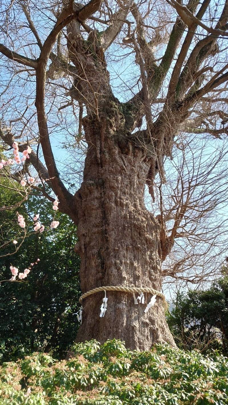 荏柄天神社 御朱印 鎌倉市 神奈川県 Omairi おまいり