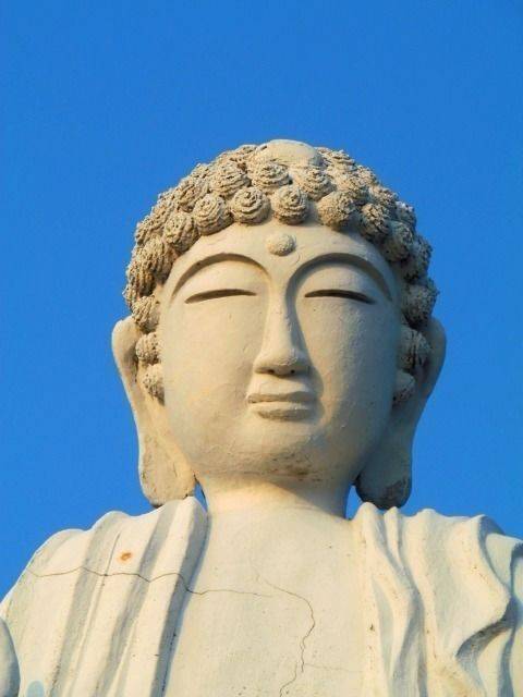 呼子大仏,佐賀県唐津市呼子町呼子1413