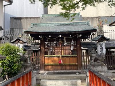 朱雀松尾總神社,見どころ,tackto
