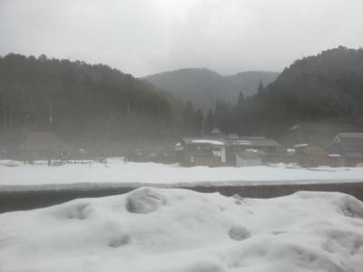 浄願寺,見どころ,