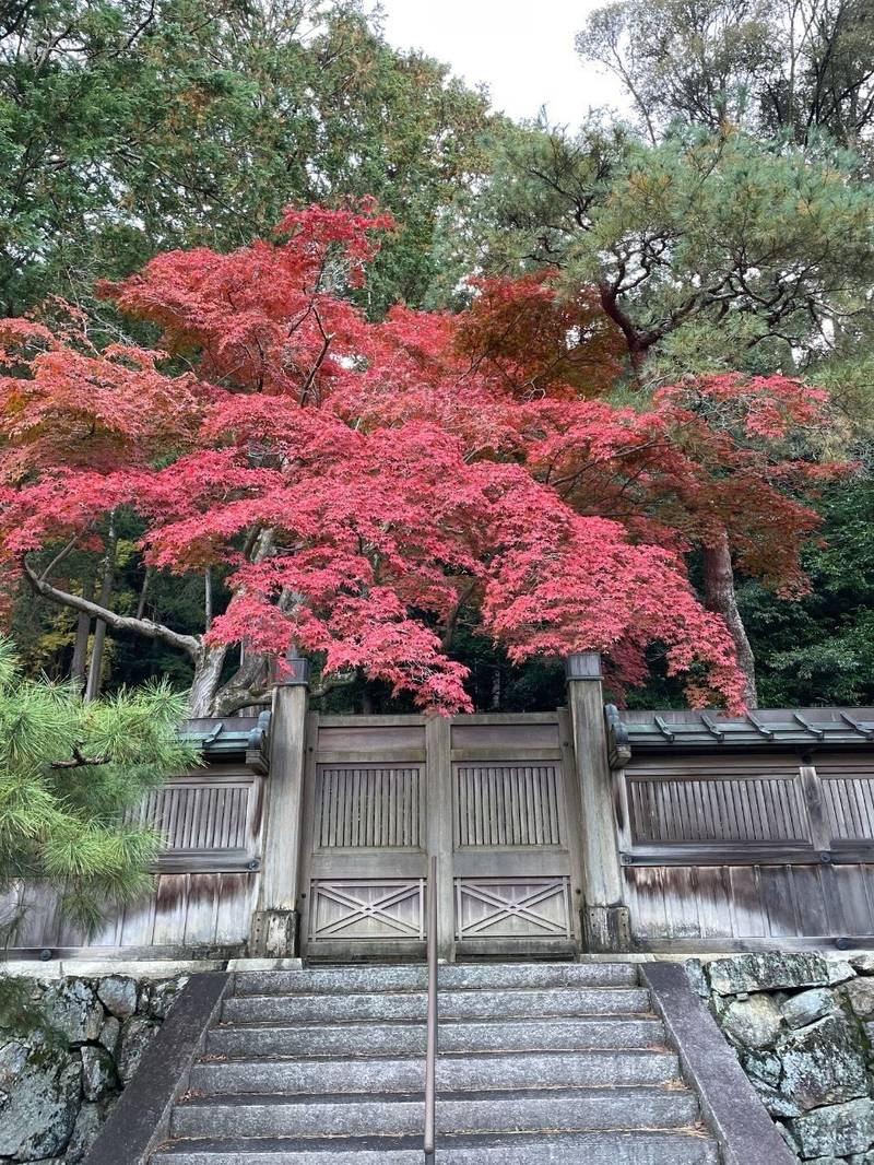 孝明天皇御陵    (後月輪東山陵),京都府京都市東山区今熊野泉山町泉涌寺裏側