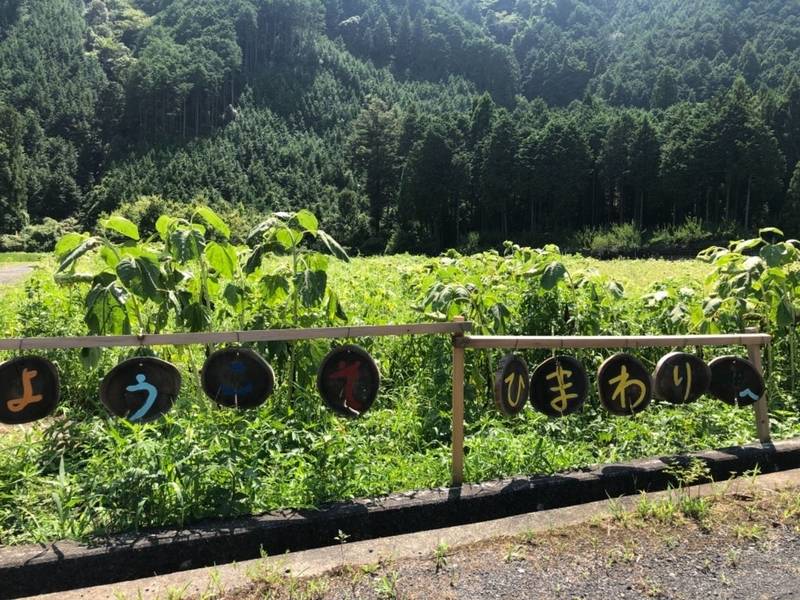 長光寺,静岡県静岡市葵区桂山220